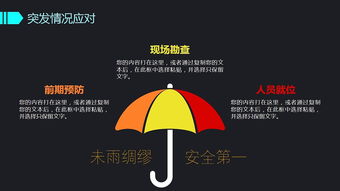 2017创意设计活动策划 整合营销与公关传播方案